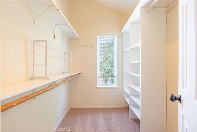24046 Lindley St, Mission Viejo, CA 92691 - walk in closet featuring carpet floors
