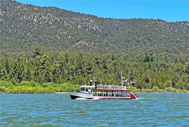 400 Pine Knot Ave, Big Bear Lake, CA 92315 - photo 18