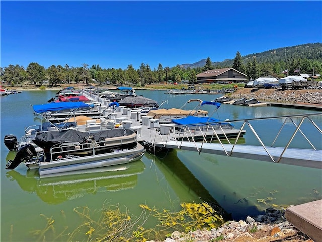 400 Pine Knot Ave, Big Bear Lake, CA 92315 - photo 10