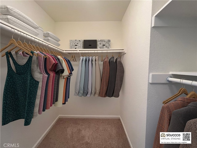 838 Pine Ave Unit 510, Long Beach, CA 90813 - walk in closet featuring carpet floors