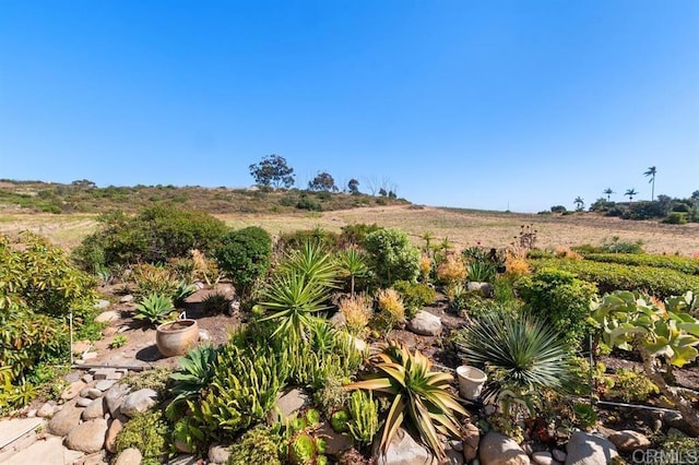 4863 Marathon Way, Oceanside, CA 92056 - view of yard