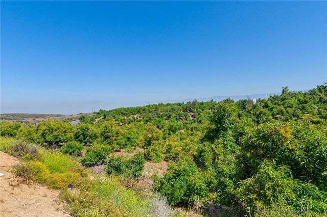 1922 Edgefair Ln, Redlands, CA 92373 - view of tree filled area