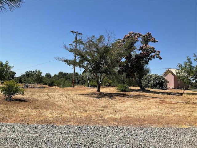 19836 Corning Rd, Corning, CA 96021 - photo 30