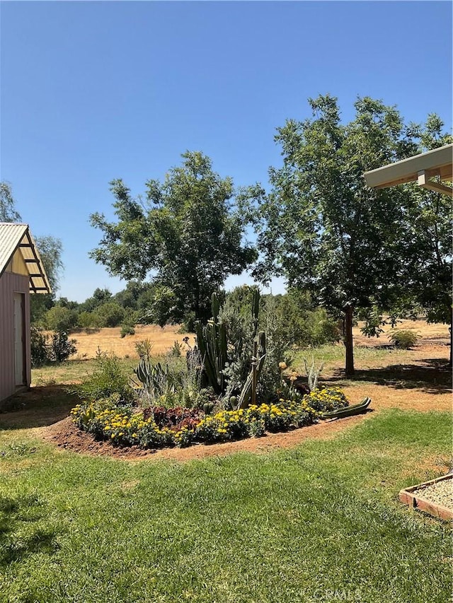 19836 Corning Rd, Corning, CA 96021 - photo 33