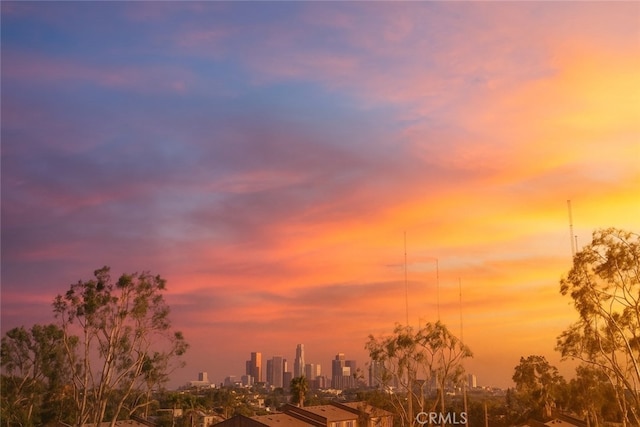 1830 N Alvarado St Unit 14, Los Angeles, CA 90026 - view of local wilderness with city skyline