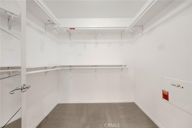 13450 Prosperity Pl, Garden Grove, CA 92843 - walk in closet featuring carpet flooring