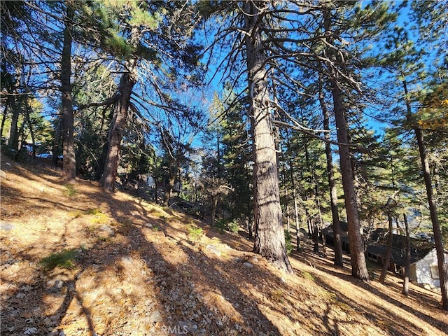 0 Lovers Ln, Rimforest, CA 92378