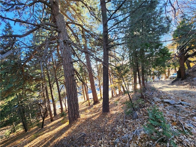 0 Lovers Ln, Rimforest, CA 92378