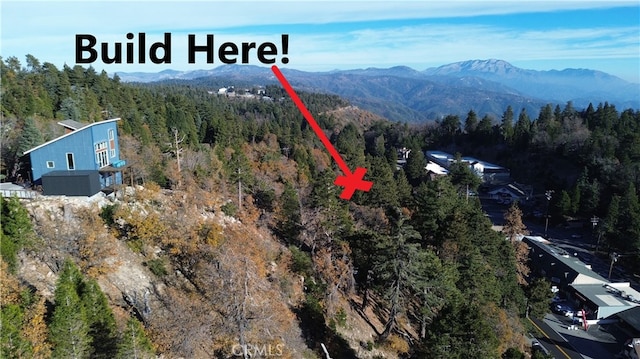 0 Lovers Ln, Rimforest, CA 92378