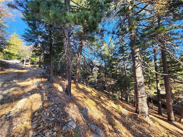 0 Lovers Ln, Rimforest, CA 92378