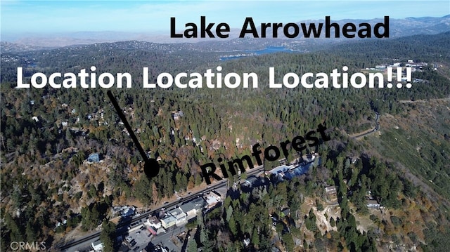0 Lovers Ln, Rimforest, CA 92378