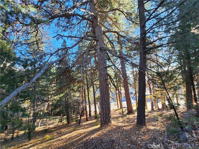 0 Lovers Ln, Rimforest, CA 92378