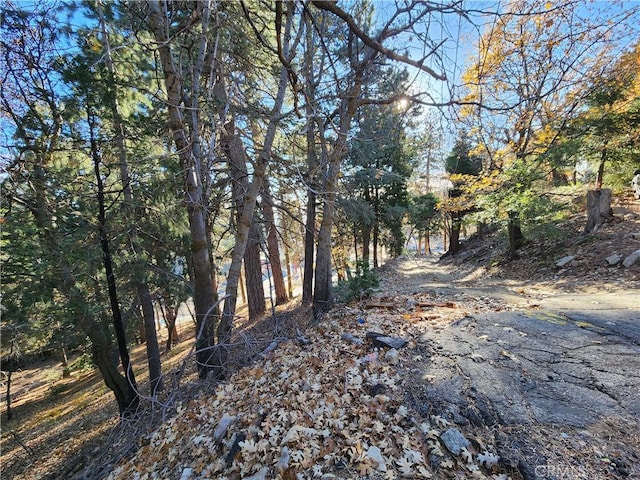 0 Lovers Ln, Rimforest, CA 92378