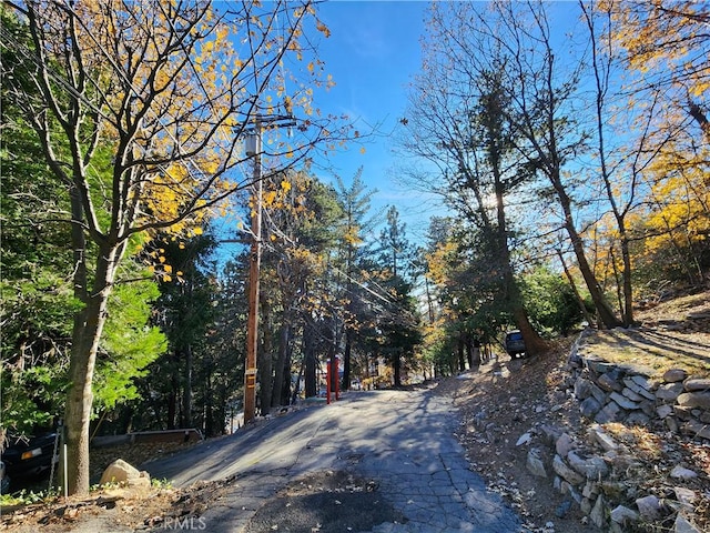 0 Lovers Ln, Rimforest, CA 92378