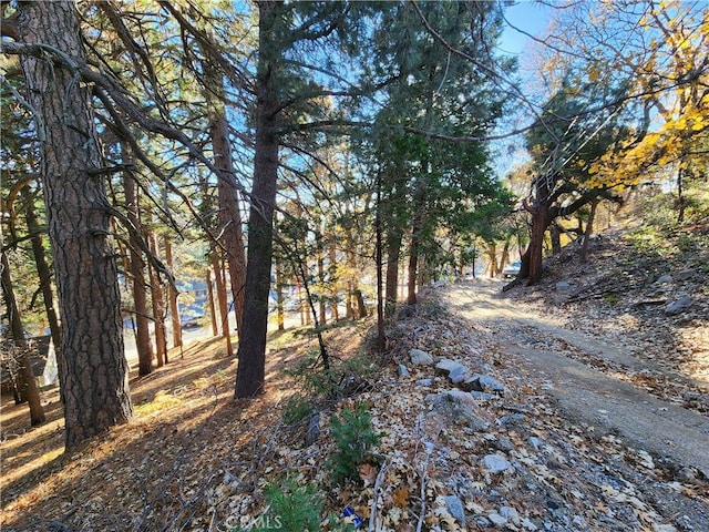 0 Lovers Ln, Rimforest, CA 92378