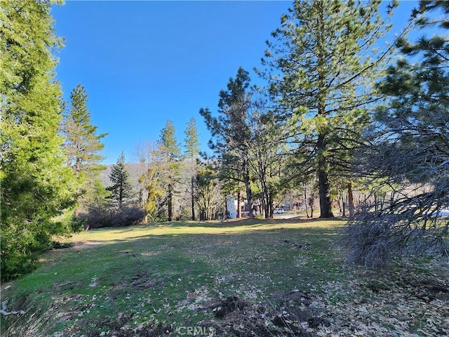 30110 Skyline, Running Springs, CA 92382