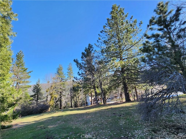 30110 Skyline, Running Springs, CA 92382