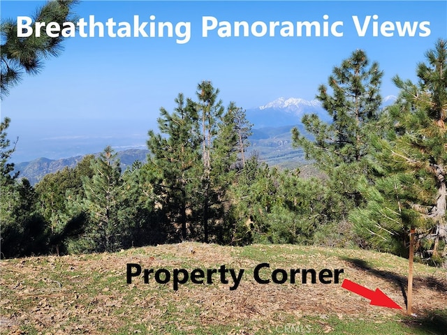 30110 Skyline, Running Springs, CA 92382