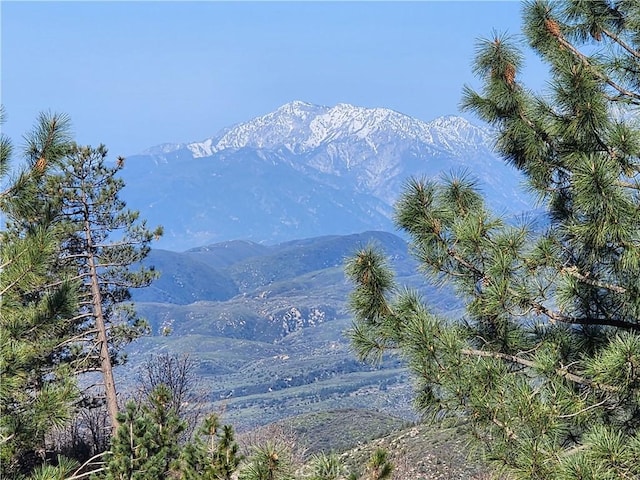 30110 Skyline, Running Springs, CA 92382