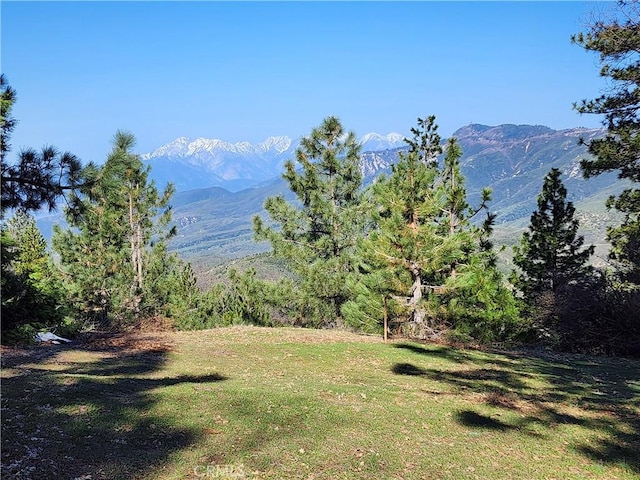 30110 Skyline, Running Springs, CA 92382