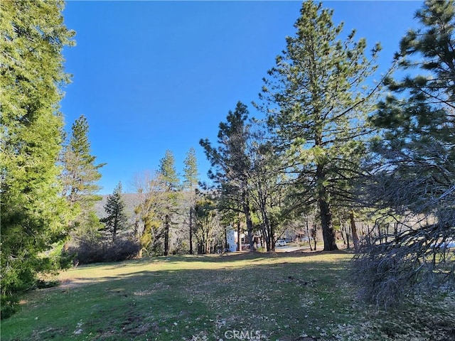 30110 Skyline, Running Springs, CA 92382
