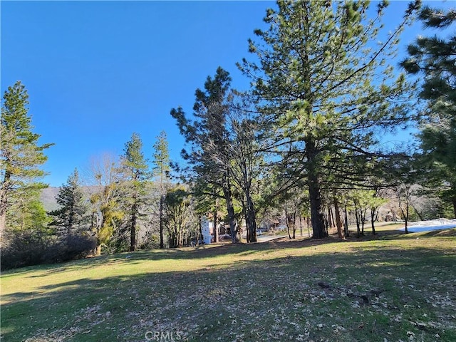 30110 Skyline, Running Springs, CA 92382