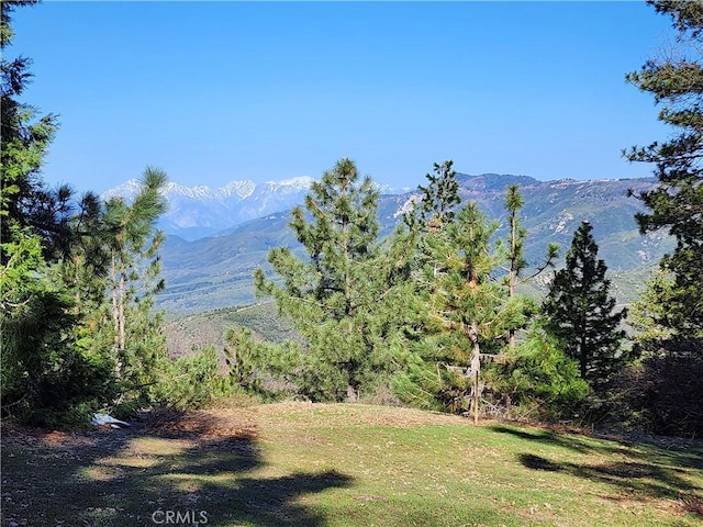 30110 Skyline, Running Springs, CA 92382