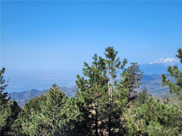 30110 Skyline, Running Springs, CA 92382