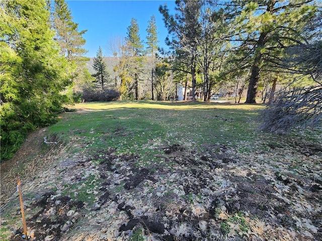 30110 Skyline, Running Springs, CA 92382