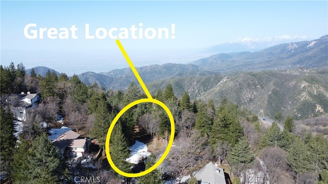 30110 Skyline, Running Springs, CA 92382