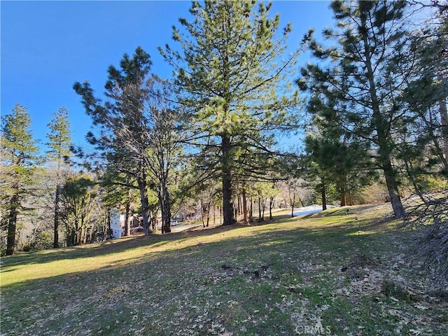 30110 Skyline, Running Springs, CA 92382