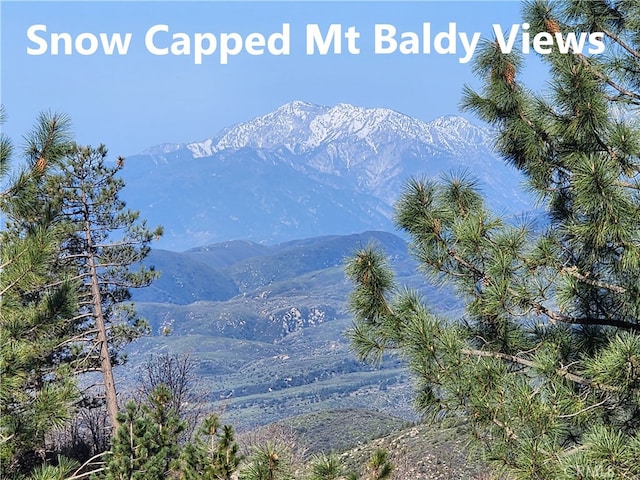 30110 Skyline, Running Springs, CA 92382