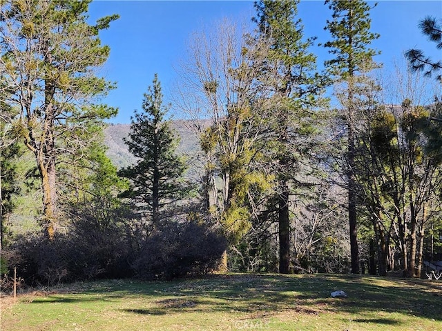 30110 Skyline, Running Springs, CA 92382