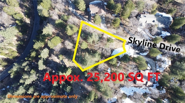30110 Skyline, Running Springs, CA 92382