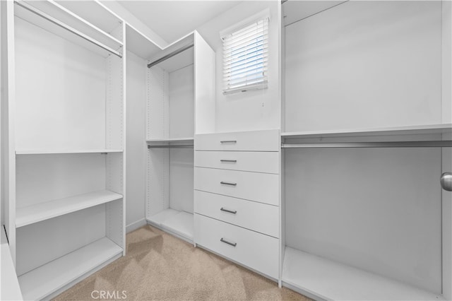 53 Bay Laurel, Irvine, CA 92620 - photo 21