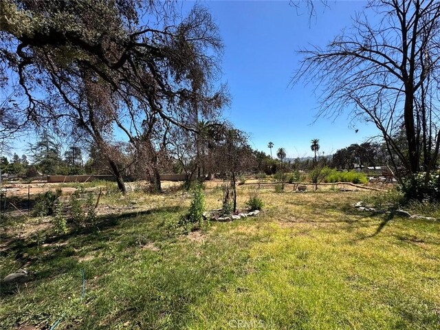 416 E Altadena Dr, Altadena, CA 91001 - photo 29