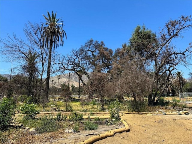 416 E Altadena Dr, Altadena, CA 91001 - photo 25