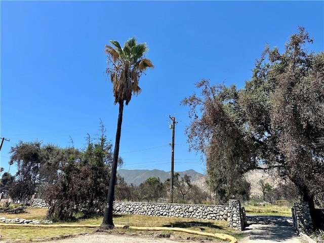 416 E Altadena Dr, Altadena, CA 91001 - photo 19