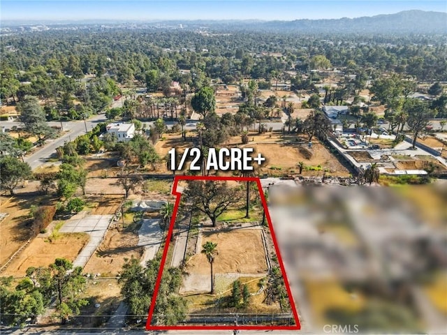 416 E Altadena Dr, Altadena, CA 91001 - photo 5