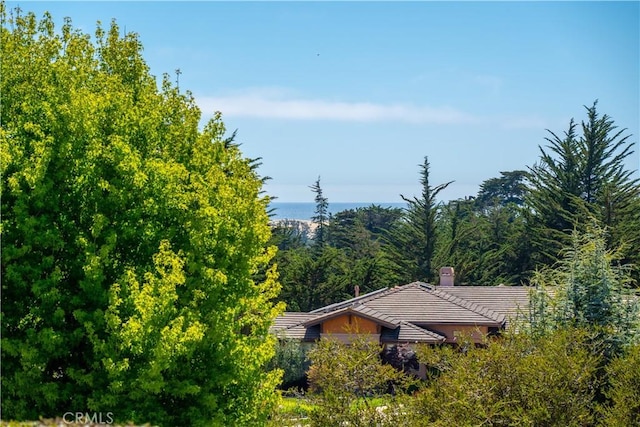 822 Noddy Ct, Arroyo Grande, CA 93420 - view from above of property featuring a forest