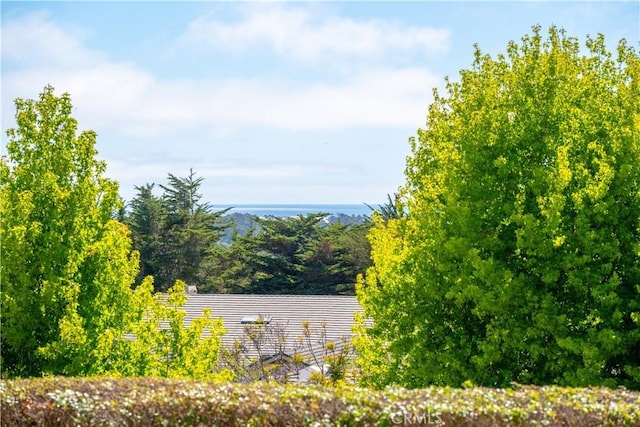 822 Noddy Ct, Arroyo Grande, CA 93420 - water view