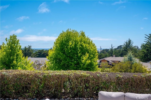 822 Noddy Ct, Arroyo Grande, CA 93420 - view of yard