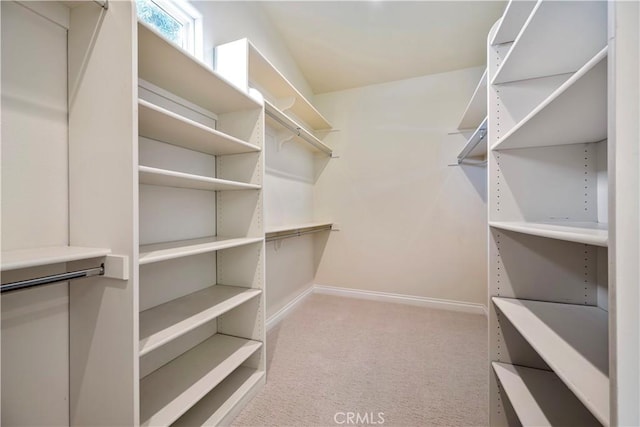 822 Noddy Ct, Arroyo Grande, CA 93420 - walk in closet featuring carpet