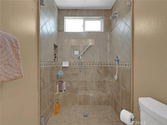 28702 Eagleton St, Agoura Hills, CA 91301 - bathroom with a stall shower and a textured wall