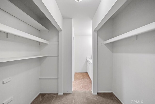 2501 S El Camino Real, San Clemente, CA 92672 - spacious closet with carpet