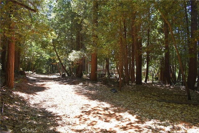 11605 La Porte Rd, Challenge, CA 95925 - view of street featuring a forest view