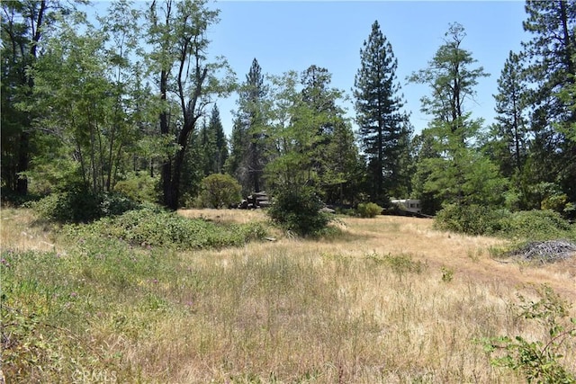 11605 La Porte Rd, Challenge, CA 95925 - view of undeveloped land