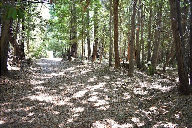 11605 La Porte Rd, Challenge, CA 95925 - view of wooded area