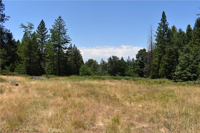 11605 La Porte Rd, Challenge, CA 95925 - view of woods