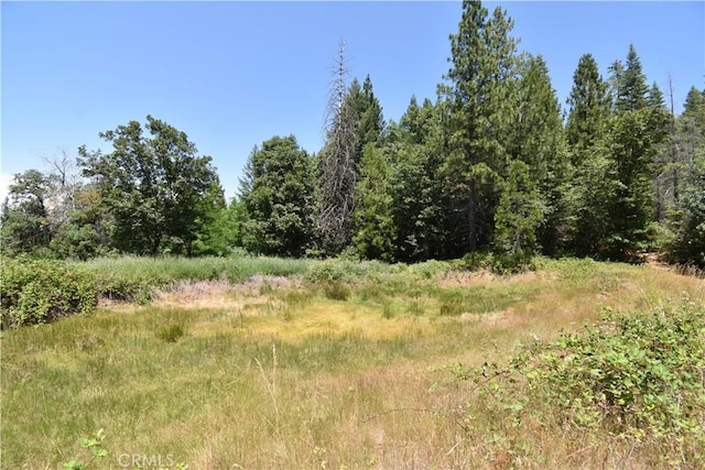 11605 La Porte Rd, Challenge, CA 95925 - view of local wilderness